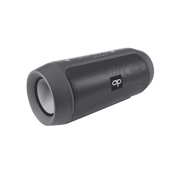 PARLANTE BLUETOOTH PORTATIL CON ENTRADA SD/USB/FM/AUX . SILVER - Imagen 2