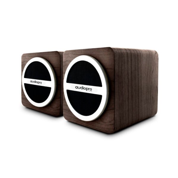 PAR DE PARLANTE BLUETOOTH  PORTATIL AUDIOPRO CON ENTRADA SD/USB/ RADIO FM. BLACK - Imagen 2