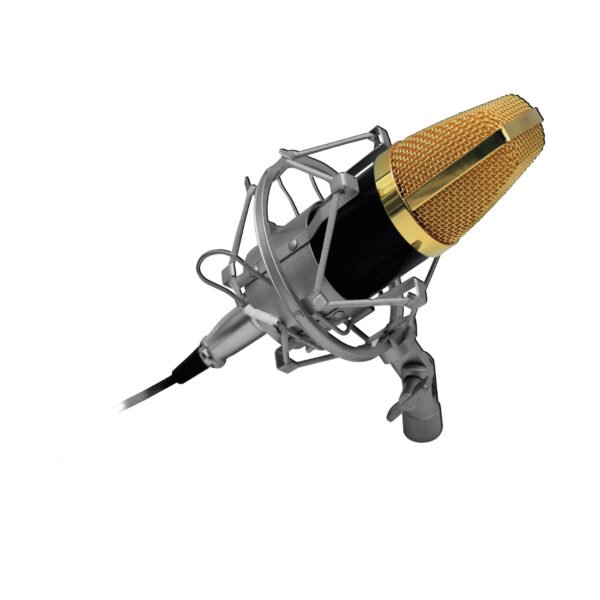 MICROFONO CONDENSADOR PROFESIONAL AUDIOPRO HOME STUDIO, CABLE 180CM - Imagen 2