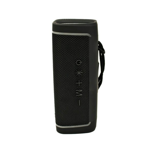 PARLANTE LED PORTATIL INALAMBRICO AUDIOPRO 10W BLUETOOTH/FM/LINE IN/MANOS LIBRES CABLE TIPO C TWS- BLACK - Imagen 3