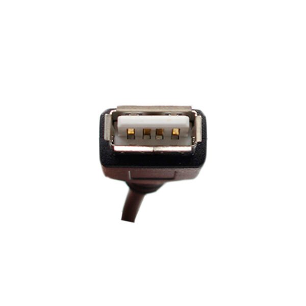 CABLE DBLUE USB EXTENCION MACHO / HEMBRA DE 2.0 METROS - Imagen 3