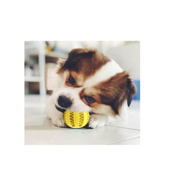 PELOTA DE LIMPIEZA DE DIENTES PARA PERROS - Imagen 4