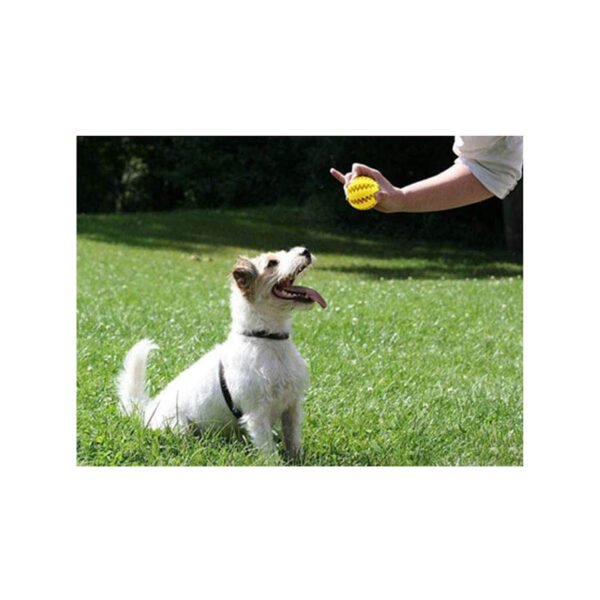 PELOTA DE LIMPIEZA DE DIENTES PARA PERROS - Imagen 6