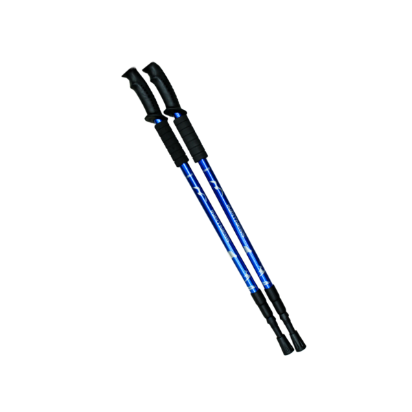 PAR DE BASTONES PARA TRECKING - BLUE