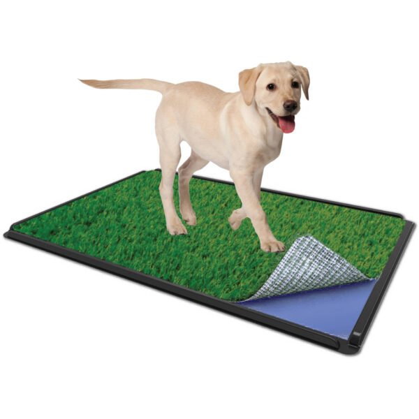BAÑO ECOLÓLOGICO PARA PERROS Y GATOS - Imagen 7