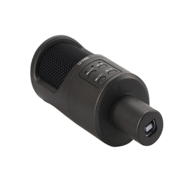 MICROFONO CONDENSADOR HOME STUDIO - Imagen 3