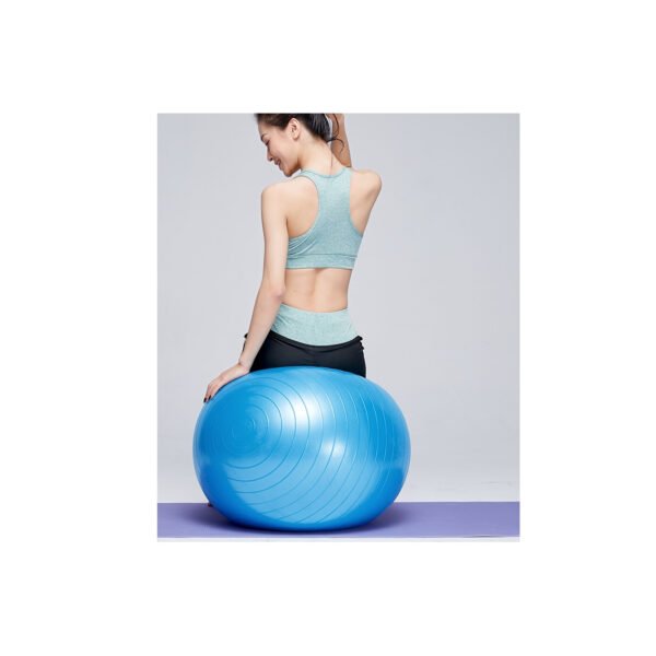 PELOTA BALÓN 75 CM PILATES YOGA + INFLADOR PELOTAS - SILVER - Imagen 2