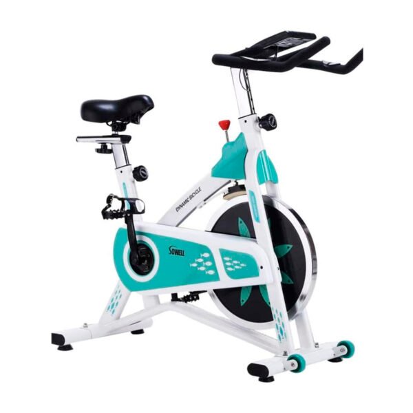 BICICLETA SPINNING 11KG