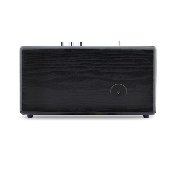 PARLANTE BLUETOOTH DBLUE, ENTRADA AUX 3.5MM, BATERIA 1500MAH, 30W RMS, RANGO 10M, ADAPTADOR 9V/1A. - Imagen 3