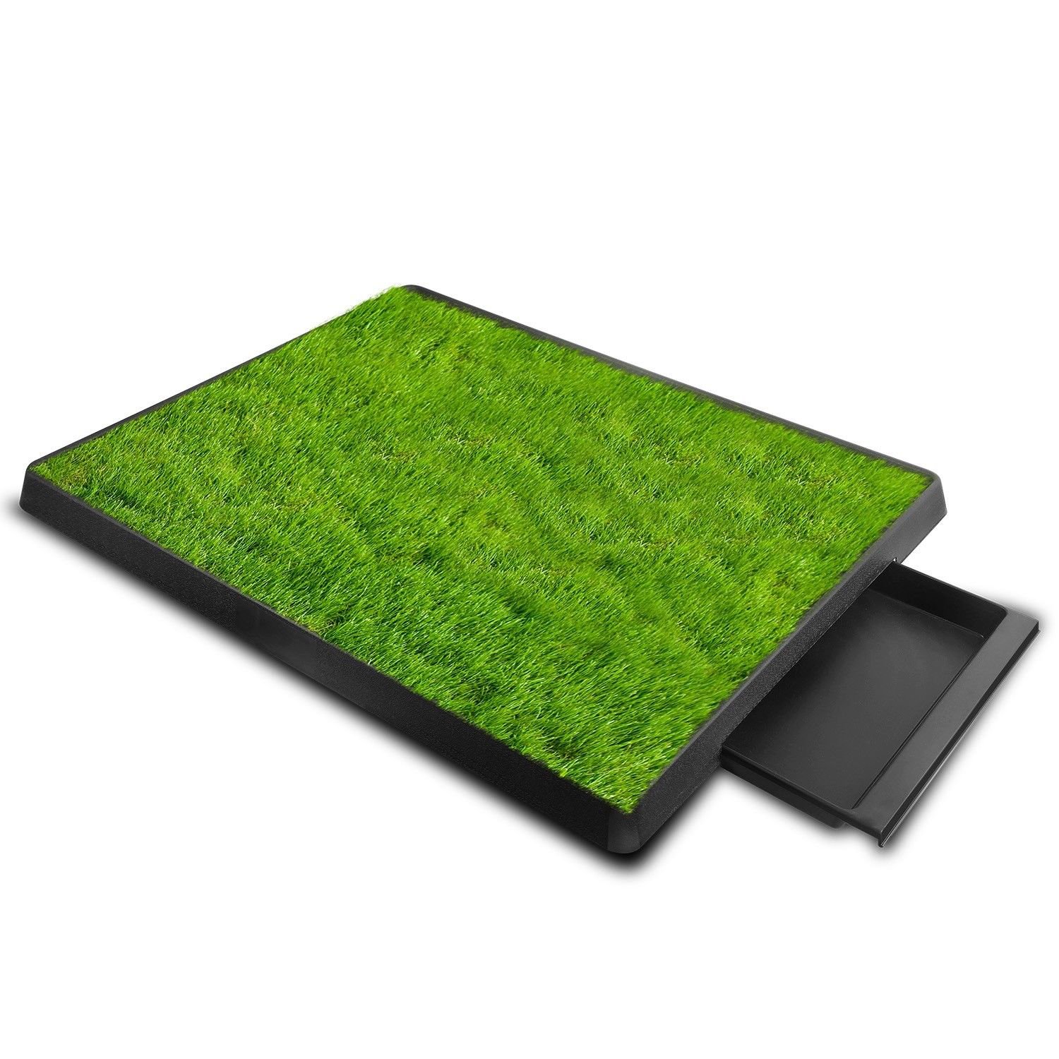 03-DBG447_01